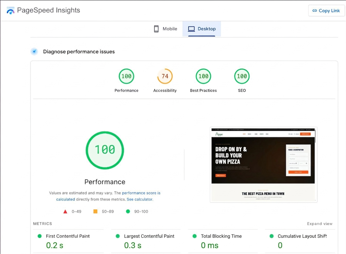 Print do Google PageSpeed Insights mostrando nota 100